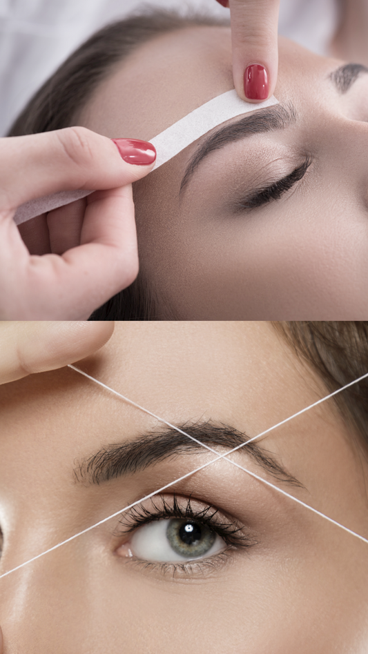 Glazed Lash & Brow Tint & Wax Course